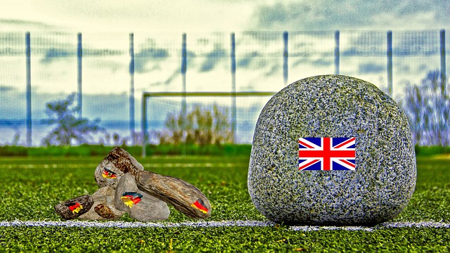 还引发了观 还引发了观