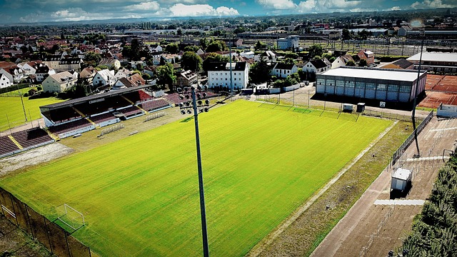 的新任主帅 的新任主帅