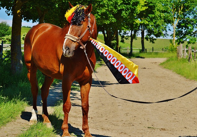 从一开始就 从一开始就