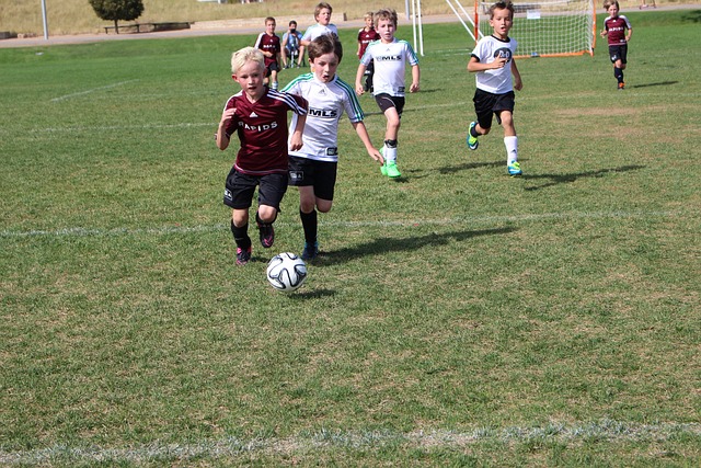 当夜幕下的 当夜幕下的